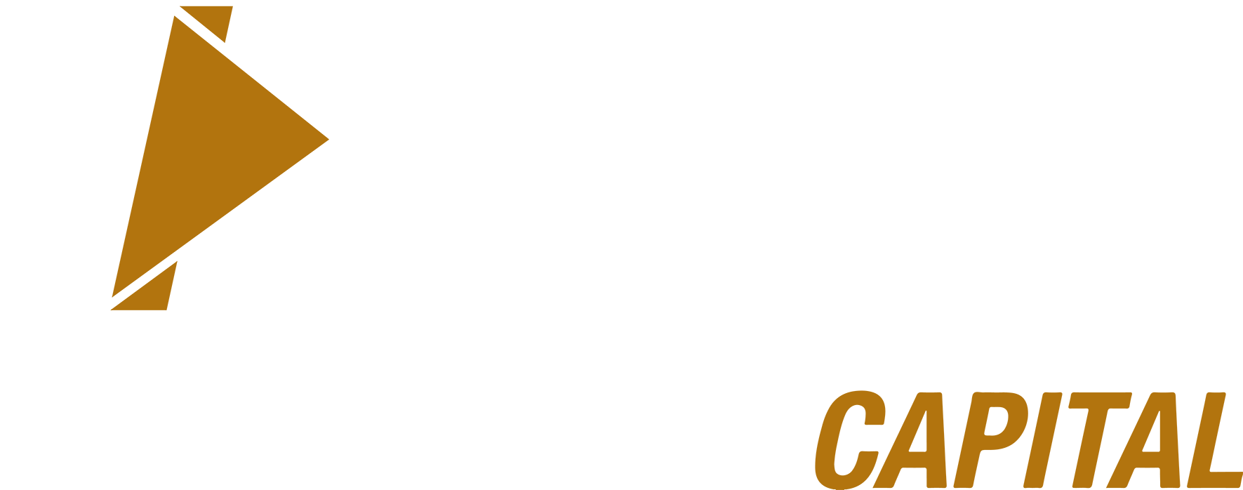 bicsa logo blanco